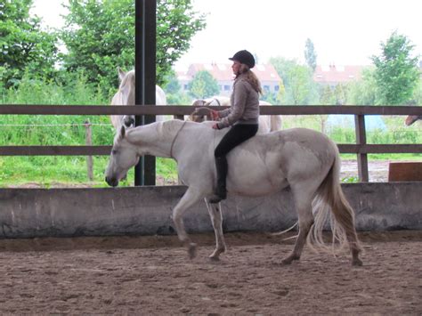 De Paardenmaat .